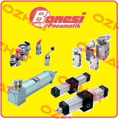 E13A4/E Bonesi Pneumatic