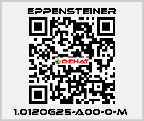 1.0120G25-A00-0-M  Eppensteiner