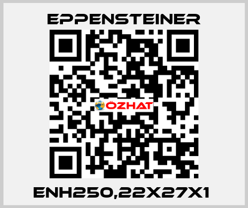 ENH250,22X27X1  Eppensteiner