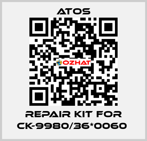 REPAIR KIT FOR CK-9980/36*0060  Atos