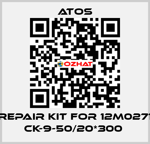 REPAIR KIT FOR 12M0271 CK-9-50/20*300  Atos