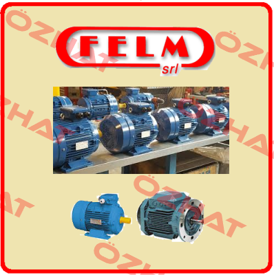 IE3 - F3  200L1-2  Felm