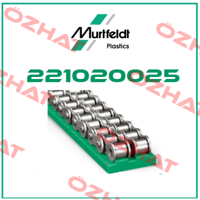 221020025 Murtfeldt