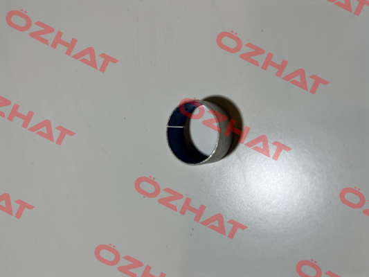 PG 202310 A Federal Mogul