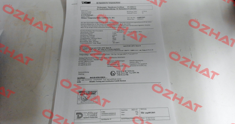 test report 3.1 Dittmer