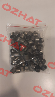 PG 101210 F Federal Mogul