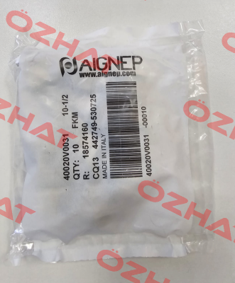 40020V0031 Aignep