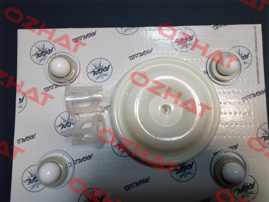 K3 DDE 100 WRN Y T P T Argal Pumps