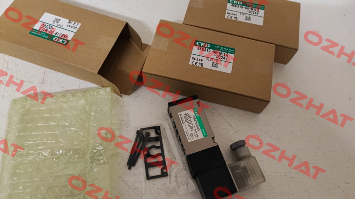 4KB319-00-M1LS-DC24V Ckd
