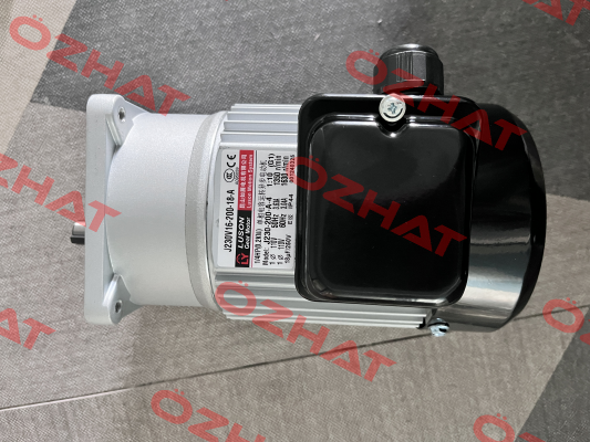 J230V16-200-18-A(G1) Luyang Gear Motor
