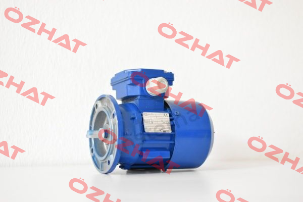 B14 T56 IE1 Cantoni