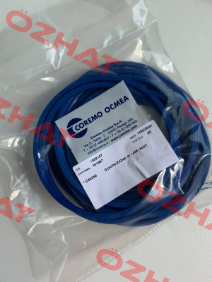 C62258 Coremo Ocmea S.p.A.