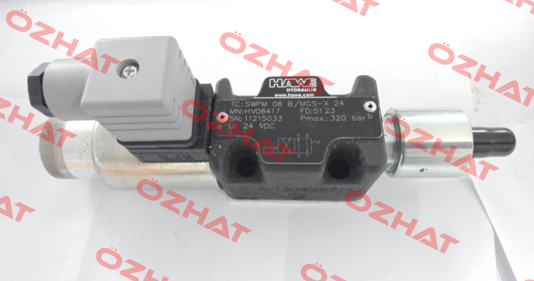 SBM220PC06PGSO973B2 (HV08417) Hoerbiger