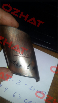 PG 252850 F  Federal Mogul