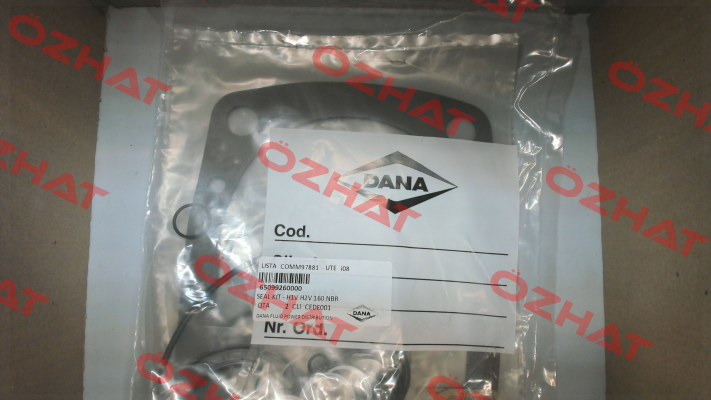 HEP 91999905546 / H1V/H2V 160 Brevini
