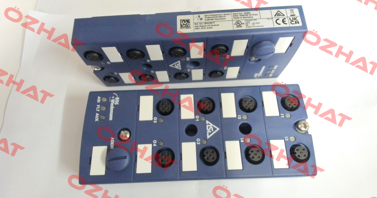 BWU2617 Bihl Wiedemann