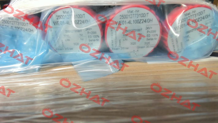 WE01-4L100Z24/0H (1367100710) Voith