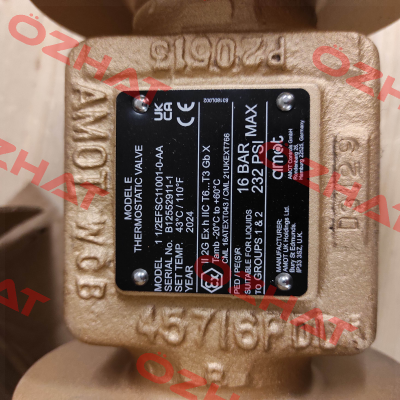 1 1/2EFSC11001-0-AA Amot