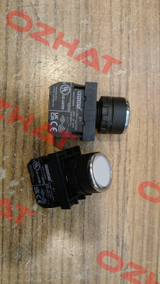 B100DB-OD Emas
