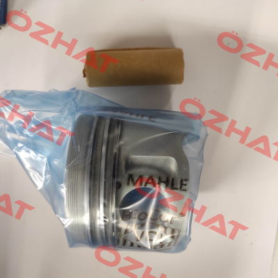 029 82 00 MAHLE