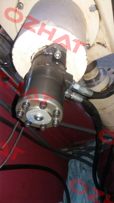 BR-O-315-2A-M08-CL250-XXXX-000-XXX-XX (SEM 510315011B31)  Brevini