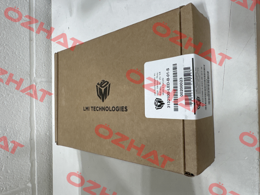 313210A-LED-B-01-S Lmi Technologies