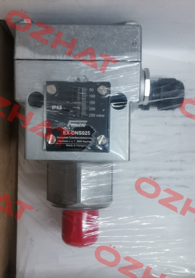 EX-DNS025 FEMA