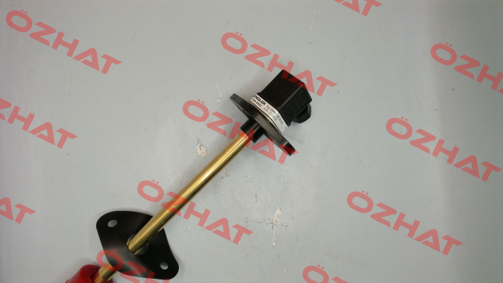 SSM.1.B5.180.5.S1 Engler