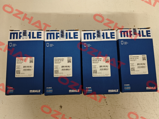 029 WV 20 00 MAHLE