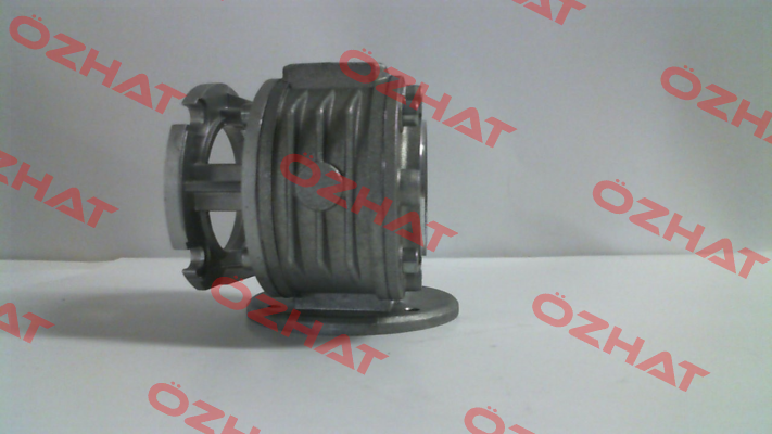 200350159 (VF 30 F1-30 P63 B14 B3) Bonfiglioli