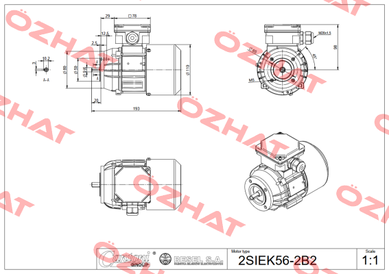 2SIEK56x-4C2 BESEL S.A.