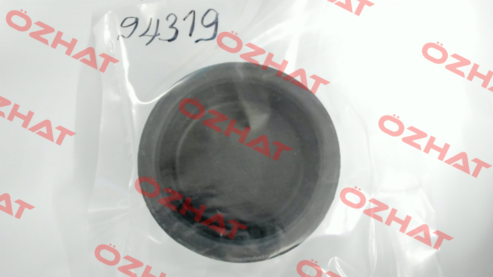 CSK 5 / 94319 Motan Colortronic