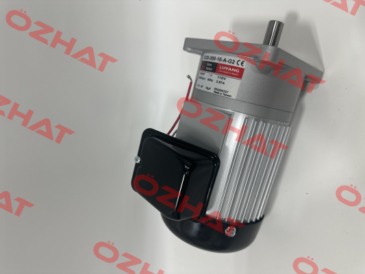 J220-200-10-A-G2 Luyang Gear Motor