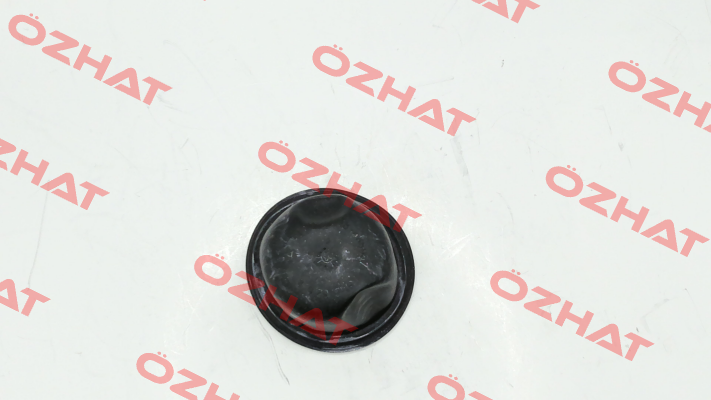 A04246874 MAHLE
