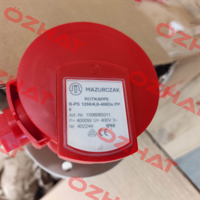 B-PS 1250/4,0-400Ds PP0 / 1006065011 Mazurczak