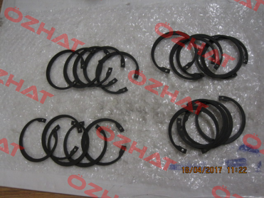 10073065    Re S.p.A.