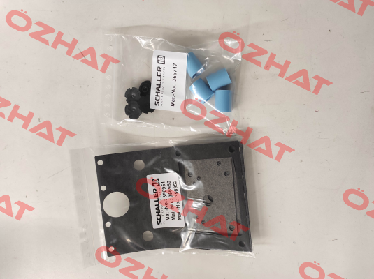 155006 Schaller Automation