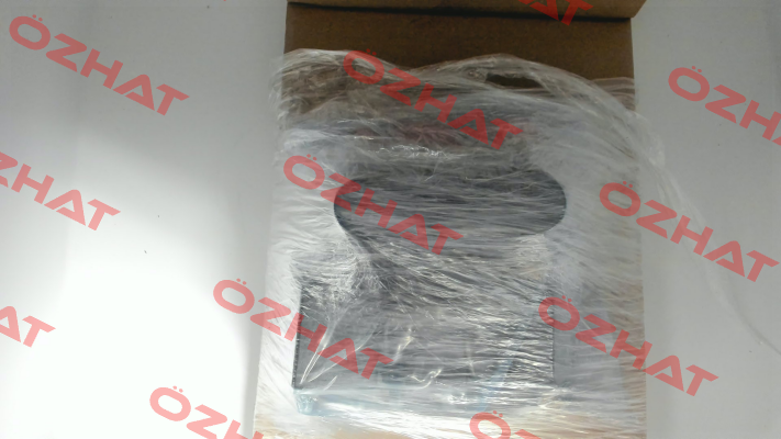 WE255-4R100Z24/0H Voith