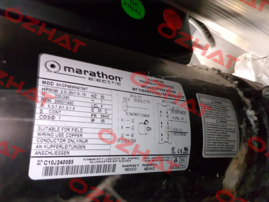 71972 Marathon (Regal)