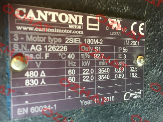 2SIEL 180M-2 22kW B3/B5 400/690V-50Hz IE2  Cantoni