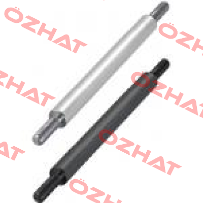 SAFM10-55-F15-M8-T15-N8-LKC Misumi