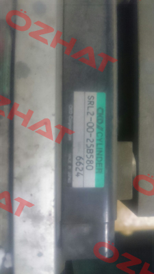 SRL2-00-25B580 Ckd