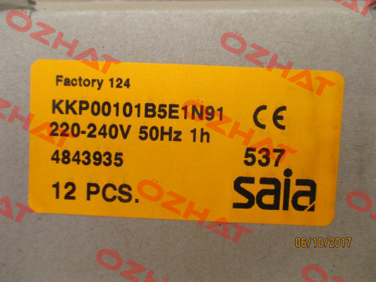 KKP00101B5E1N91  Saia-Burgess