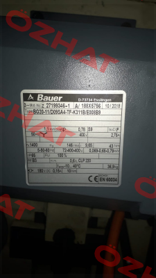 BG20-11/D09SA4-TF-K311B/E008B9  Bauer