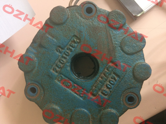 B007 Demag