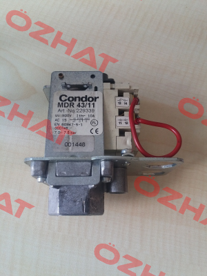 229339 Condor
