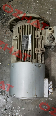FCA 100LB-8 ALTERNATIVE DM-8-B5-1,1-100L-A-Z0 AC Motoren