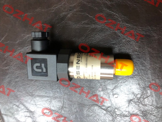 26.600G-V502-R-1-100-300-1-000 Bd Sensors