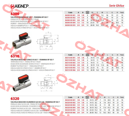6320-1/4-1/4 Aignep