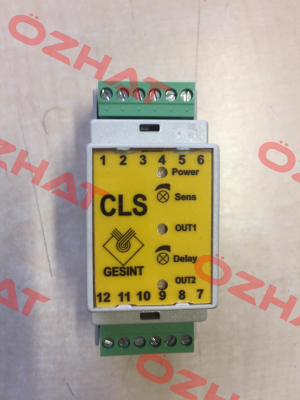 CL-SA Gesint